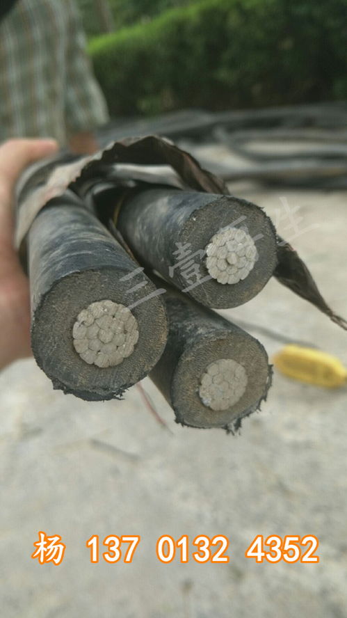 2021年沙洋船用電纜回收 集團在線報價服務(wù)全面啟動